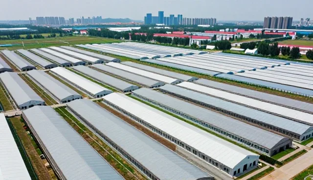 陶瓷墙砖在商业空间中的应用与实践